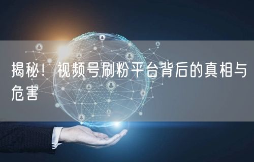 揭秘！视频号刷粉平台背后的真相与危害