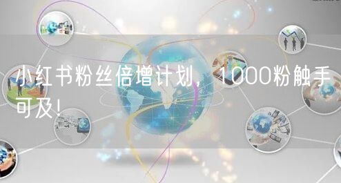 小红书粉丝倍增计划，1000粉触手可及！