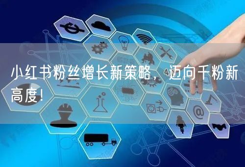 小红书粉丝增长新策略，迈向千粉新高度！