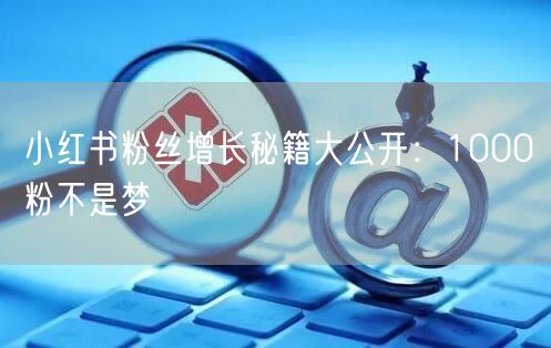 小红书粉丝增长秘籍大公开：1000粉不是梦