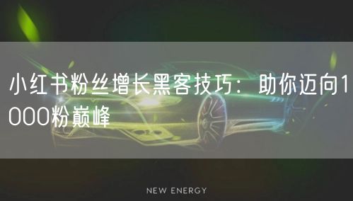 小红书粉丝增长黑客技巧：助你迈向1000粉巅峰