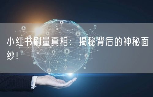 小红书刷量真相：揭秘背后的神秘面纱！