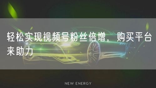 轻松实现视频号粉丝倍增，购买平台来助力