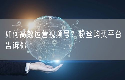 如何高效运营视频号?粉丝购买平台告诉你