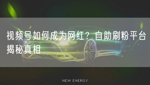 视频号如何成为网红？自助刷粉平台揭秘真相