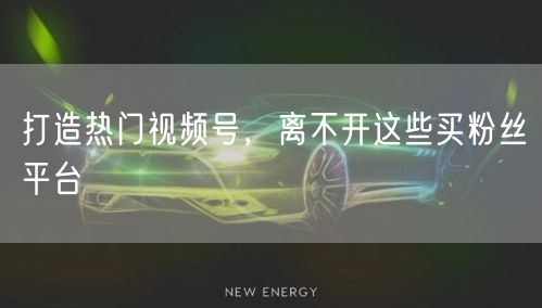打造热门视频号，离不开这些买粉丝平台
