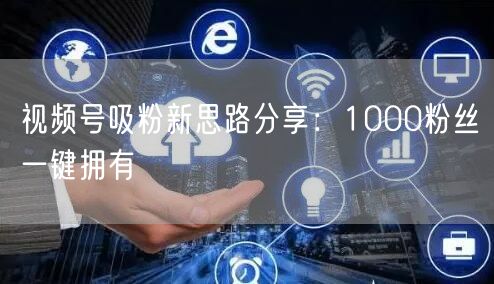 视频号吸粉新思路分享：1000粉丝一键拥有