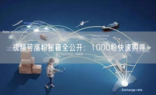 视频号涨粉秘籍全公开：1000粉快速购得