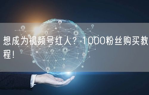 想成为视频号红人？1000粉丝购买教程！