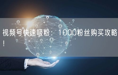 视频号快速吸粉：1000粉丝购买攻略！