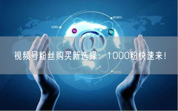 视频号粉丝购买新选择：1000粉快速来！