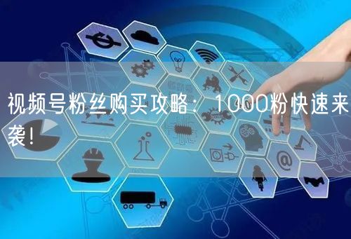 视频号粉丝购买攻略：1000粉快速来袭！