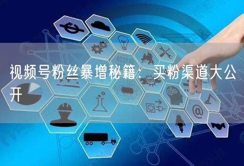 视频号粉丝暴增秘籍：买粉渠道大公开
