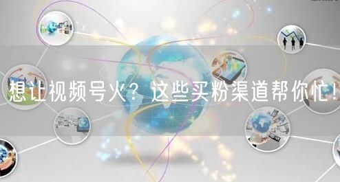想让视频号火？这些买粉渠道帮你忙！