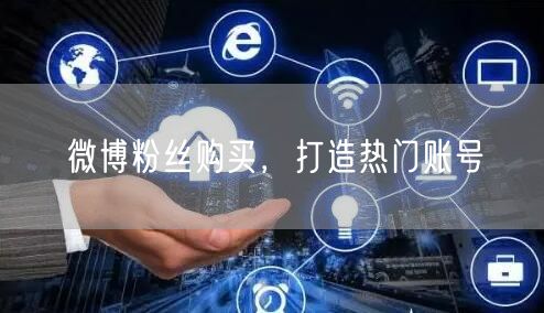 微博粉丝购买，打造热门账号